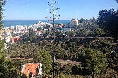 Vistas desde la parcela, Parcela C. Irlanda, Peñiscola